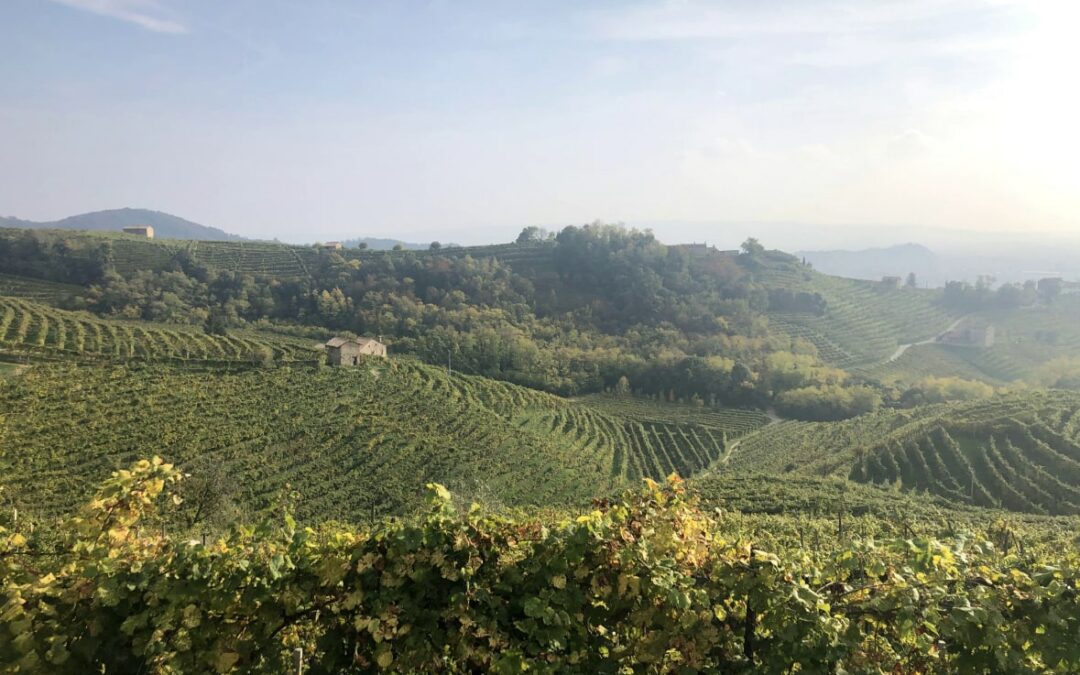 STRADA DEL PROSECCO: UN’ESPERIENZA DA                 VIVERE A VALDOBBIADENE