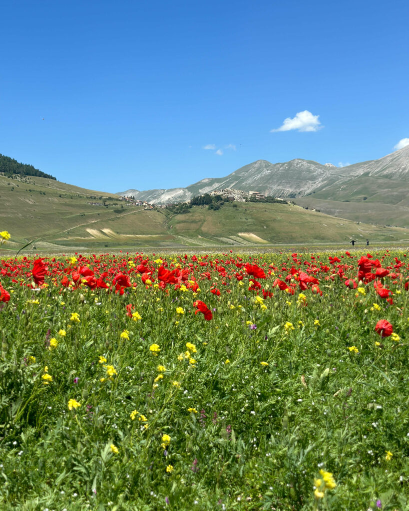 Castelluccio di Norcia