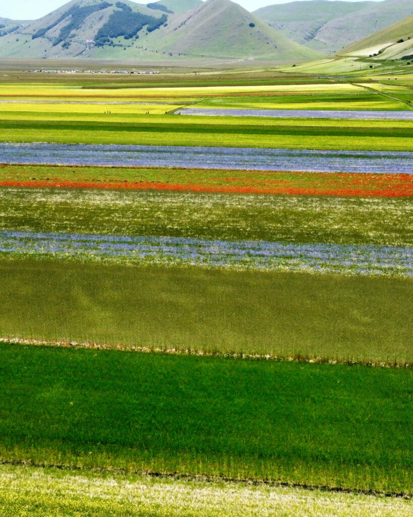 Castelluccio di Norcia