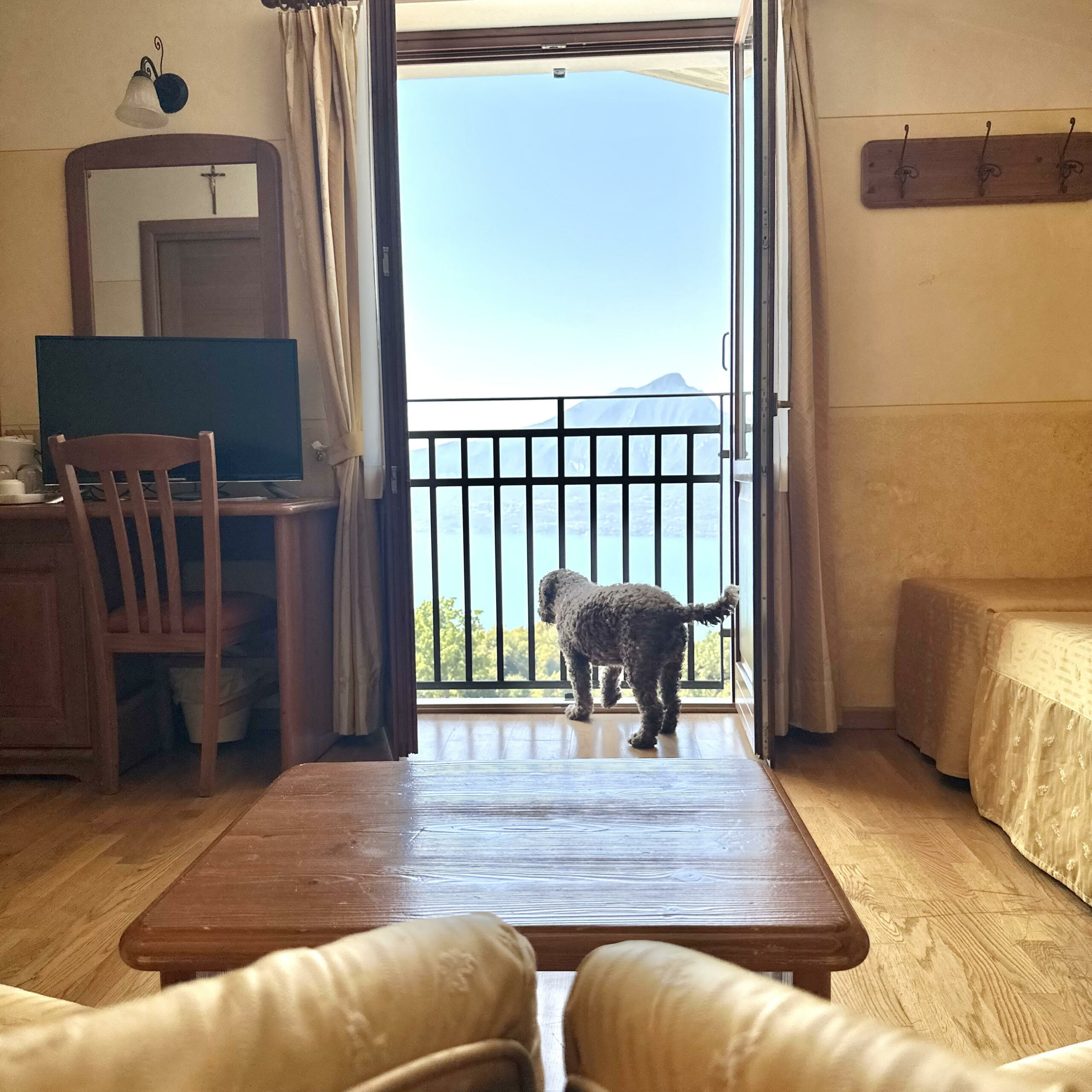 Hotel Bellavista Lago di Garda pet-friendly